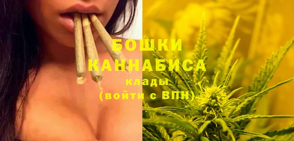 стаф Протвино