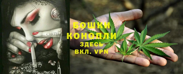 стаф Протвино