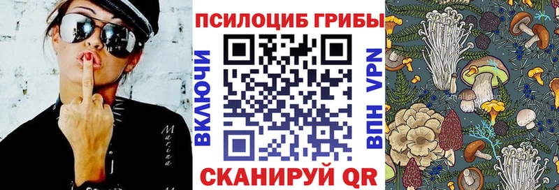Псилоцибиновые грибы мицелий  hydra ссылки  Себеж 